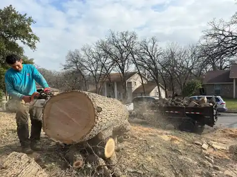 Crew member cutting a log beside a loaded dump trailer
