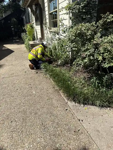 Crew member in hi-vis inspecting plants along a house