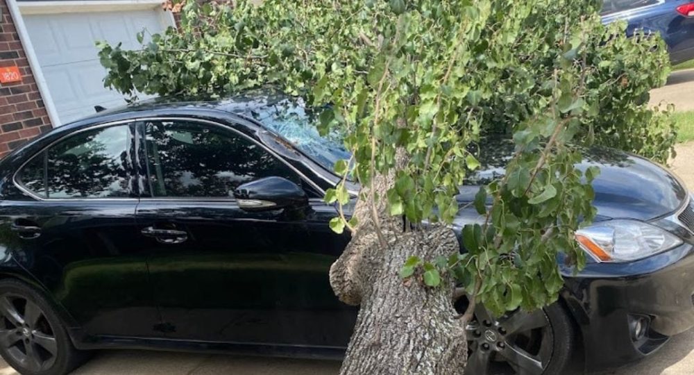 Tree-fell-on-car-after-storm-1080×796-1 Tree-fell-on-car-after-storm-1080x796-1