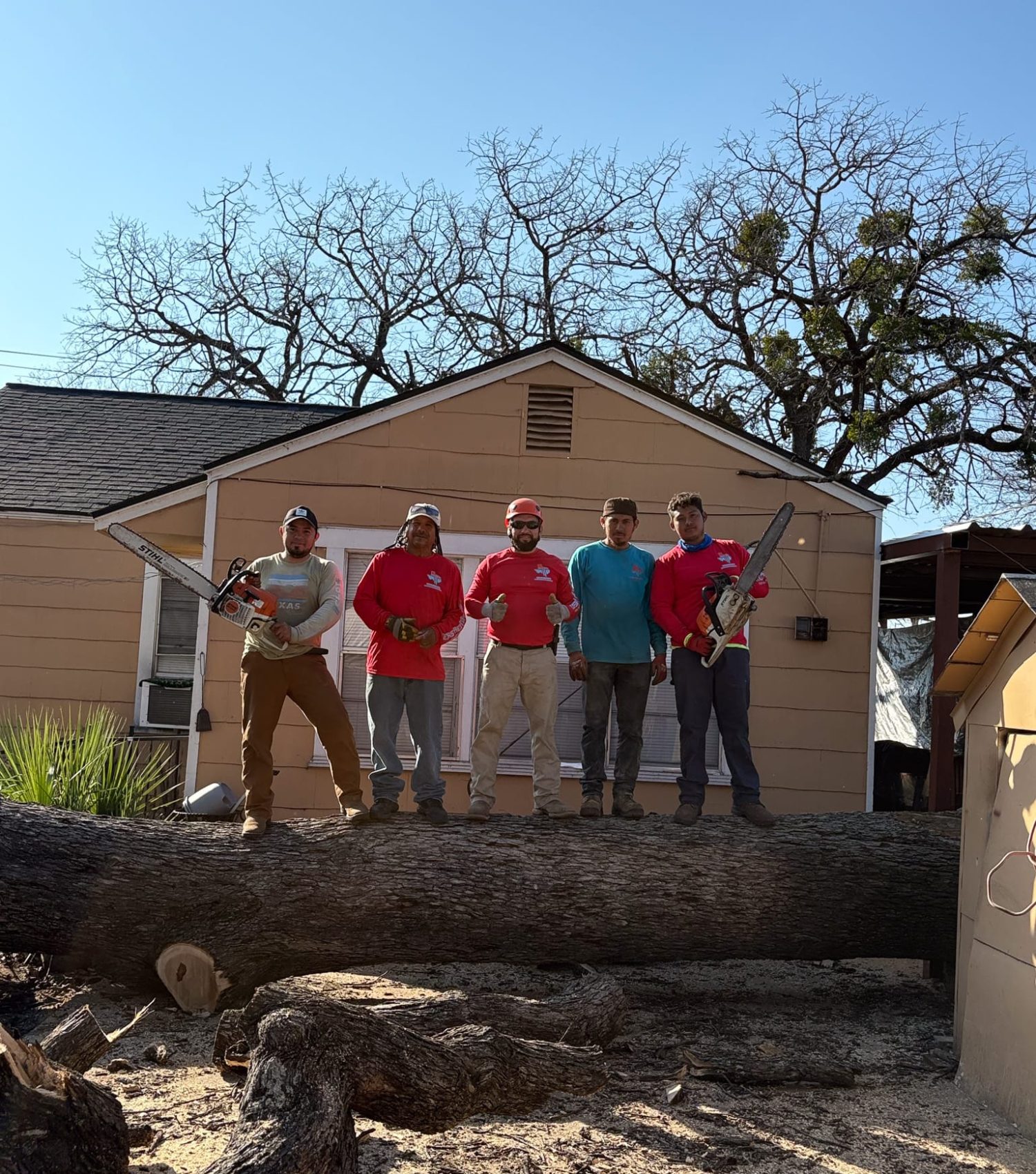 met the team of texas tree tops met the team of texas tree tops