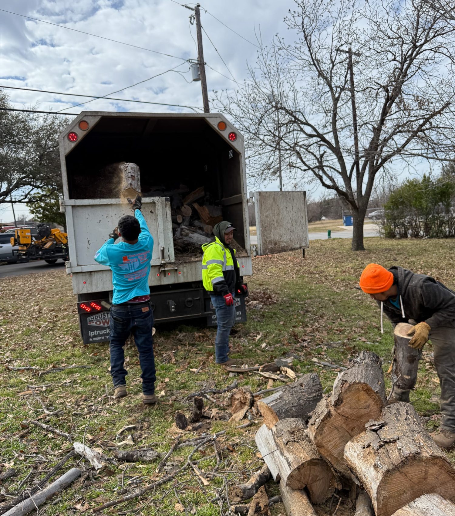 workers on clearing tree workers on clearing tree
